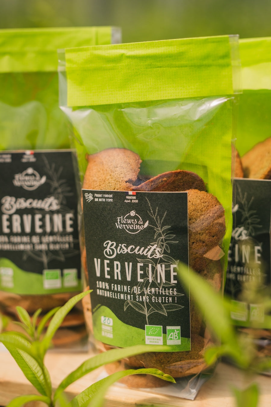 Biscuit lentille verveine bio