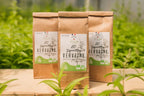 Coffret Découverte de la Verveine