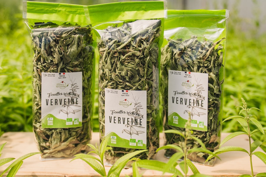 Feuille de Verveine Bio