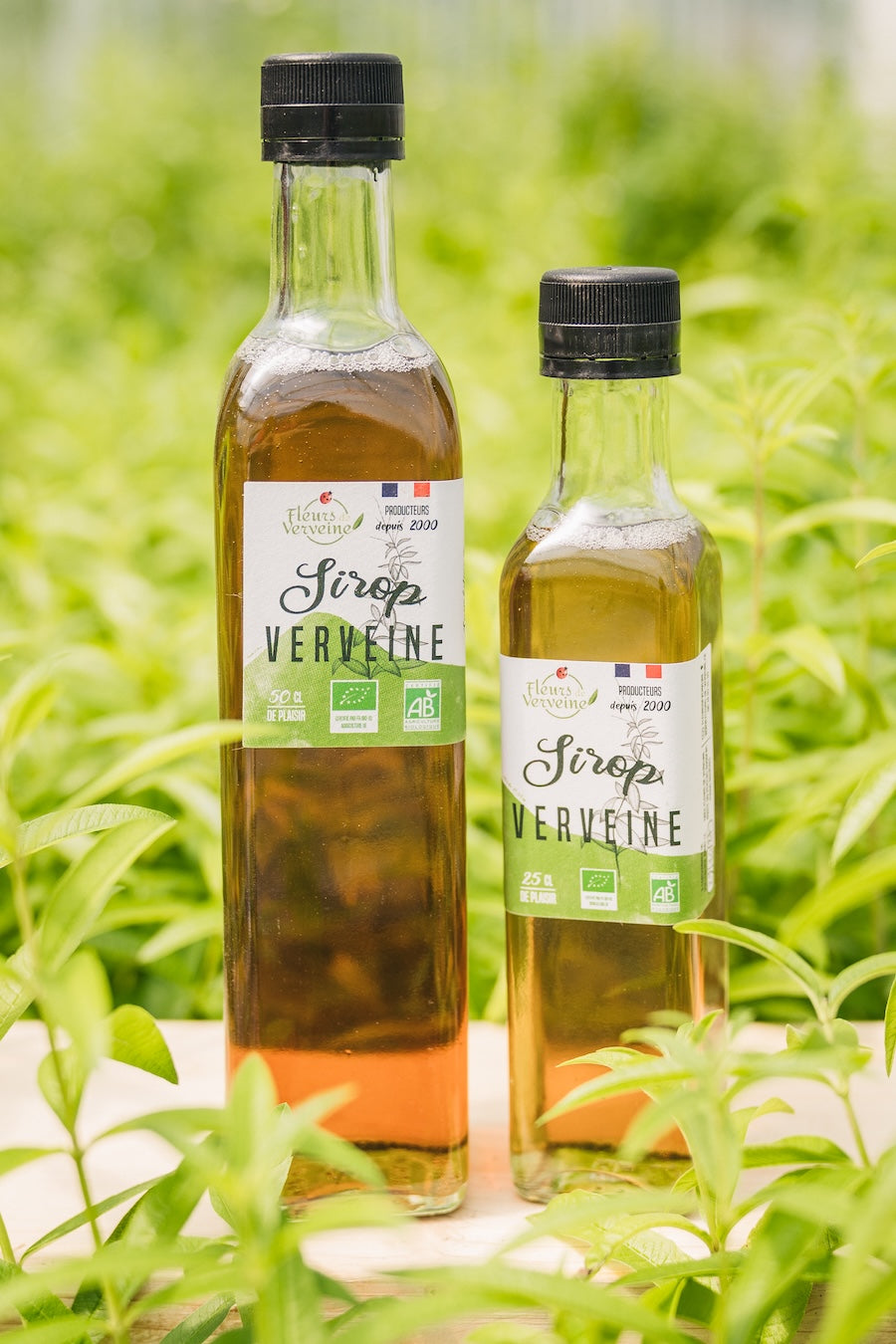 Sirop de Verveine Bio