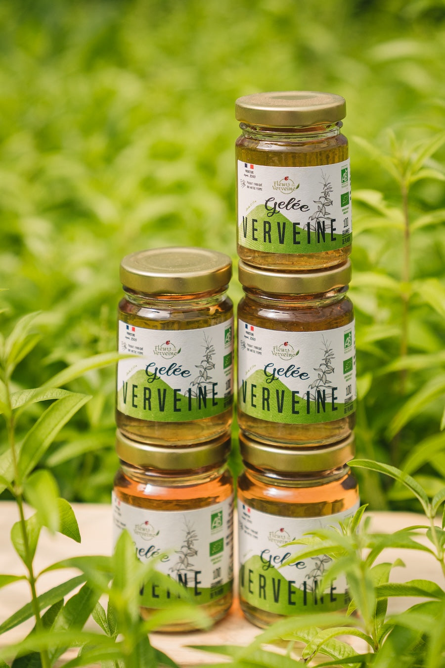 Gelée de Verveine Bio